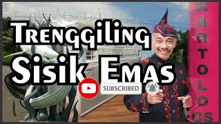 Download lagu RAHASIA TRENGGILING SISIK EMAS TERBONGKAR‼️ Dagelan Ludruk Kartolo CS mp3