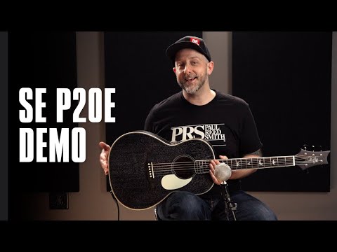 PRS SE PPE20DG Parlor Dog Hair