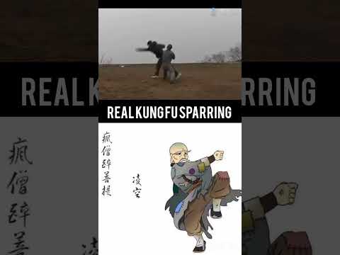 REAL KUNG FU SPARRING #kungfu #wushufight