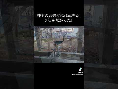 日本文化学科 釧路一之宮厳島神社に行ってきた