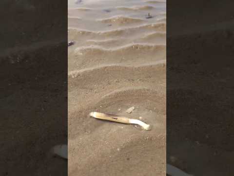 #shorts #agriculture #farming2024 #satisfying #machine #shot #EliteShortsUnleashed #3760