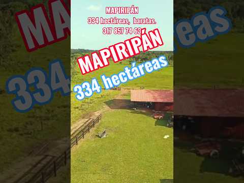 hermosa finca en mapiripan a 80 km del pueblo #mapiripanmeta #fincaganadera #fincallanos