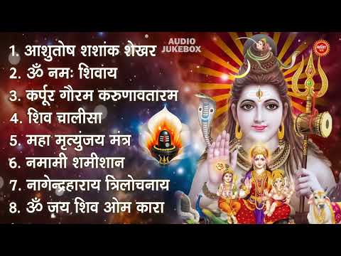 शिव भक्ति भजन : आशुतोष शशाँक शेखर, ॐ नमः शिवाय, कर्पूर गौरम करुणावतारं, शिव अमृतवाणी व शिव आरती