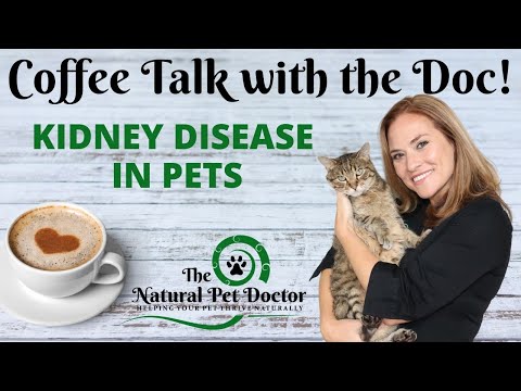 Kidney Disease in Pets and Natural Treatments with The Natural Pet Doctor