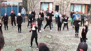 preview picture of video 'FLASHMOB 2014 im B.B.W. St. Franziskus Abensberg'