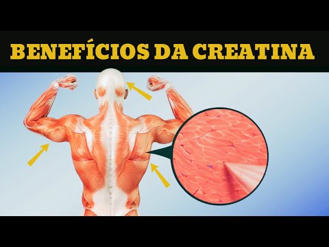 Conheça os 6 Principais Benefícios da CREATINA