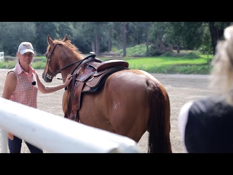 Westernpferd lässt sich nicht links stellen - Ariane Telgen sattelt um