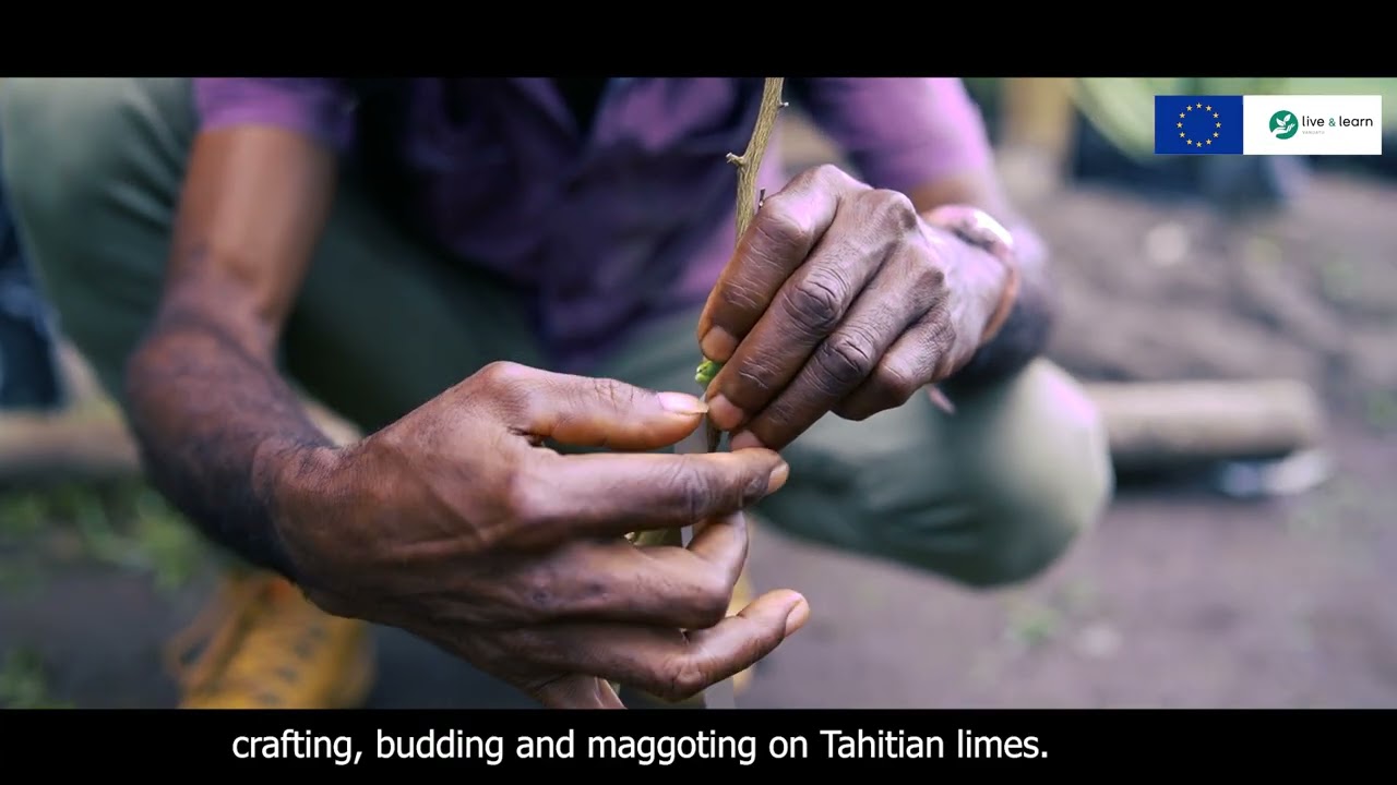 Agroforestry in Action: Training farmer groups in Vanuatu