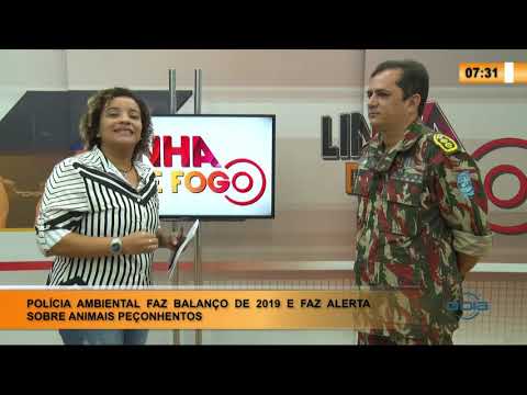 LINHA DE FOGO 03 02 2020 POLICIA AMBIENTAL FAZ BALANÇO DE 2019 E FAZ ALERTA SOBRE ANIMAIS PEÇONH