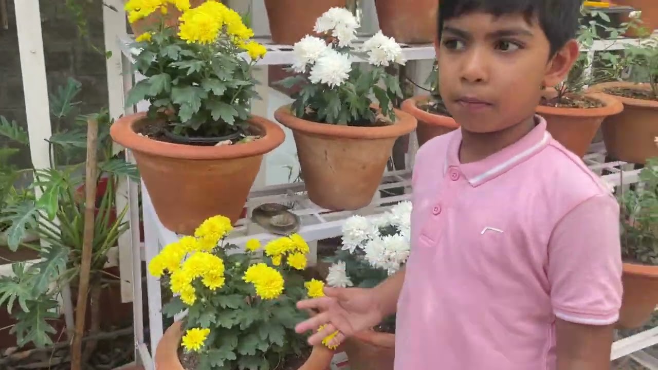 Explore my little garden