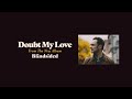 Mark Erelli "Doubt My Love" (Official Audio)