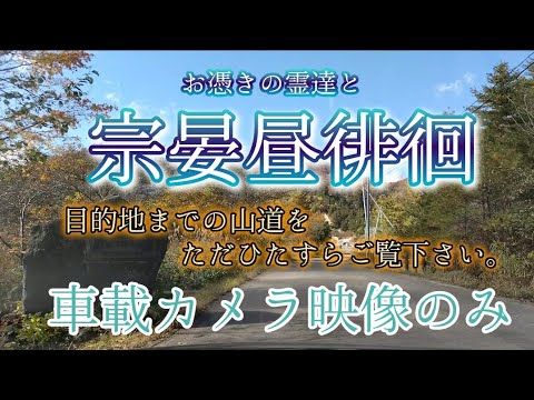 As folhas de outono são lindas, então quero que você as veja no caminho para o seu destino.