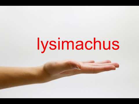 How to Pronounce lysimachus - American English