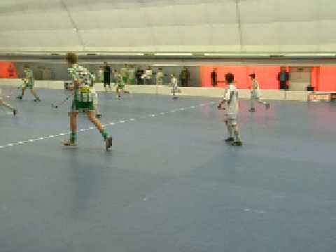 fbs bohemians bay - leaves B