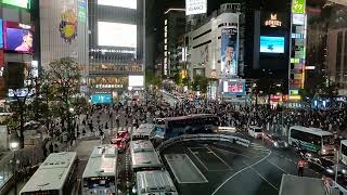 《’25.Oct.06》🚶‍➡️🚗🚥🚙🚶 #Shibuya #ScrambleCrossing. ③