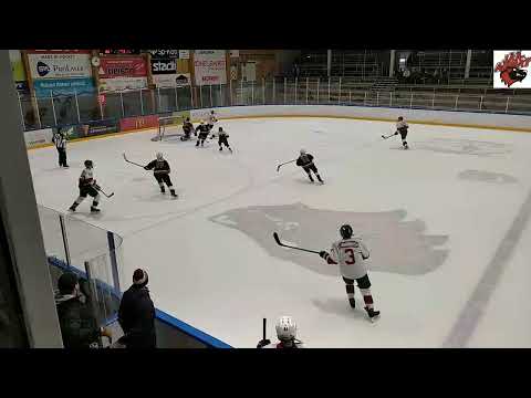 Jää-Ahmat Red - K-Kissat cats