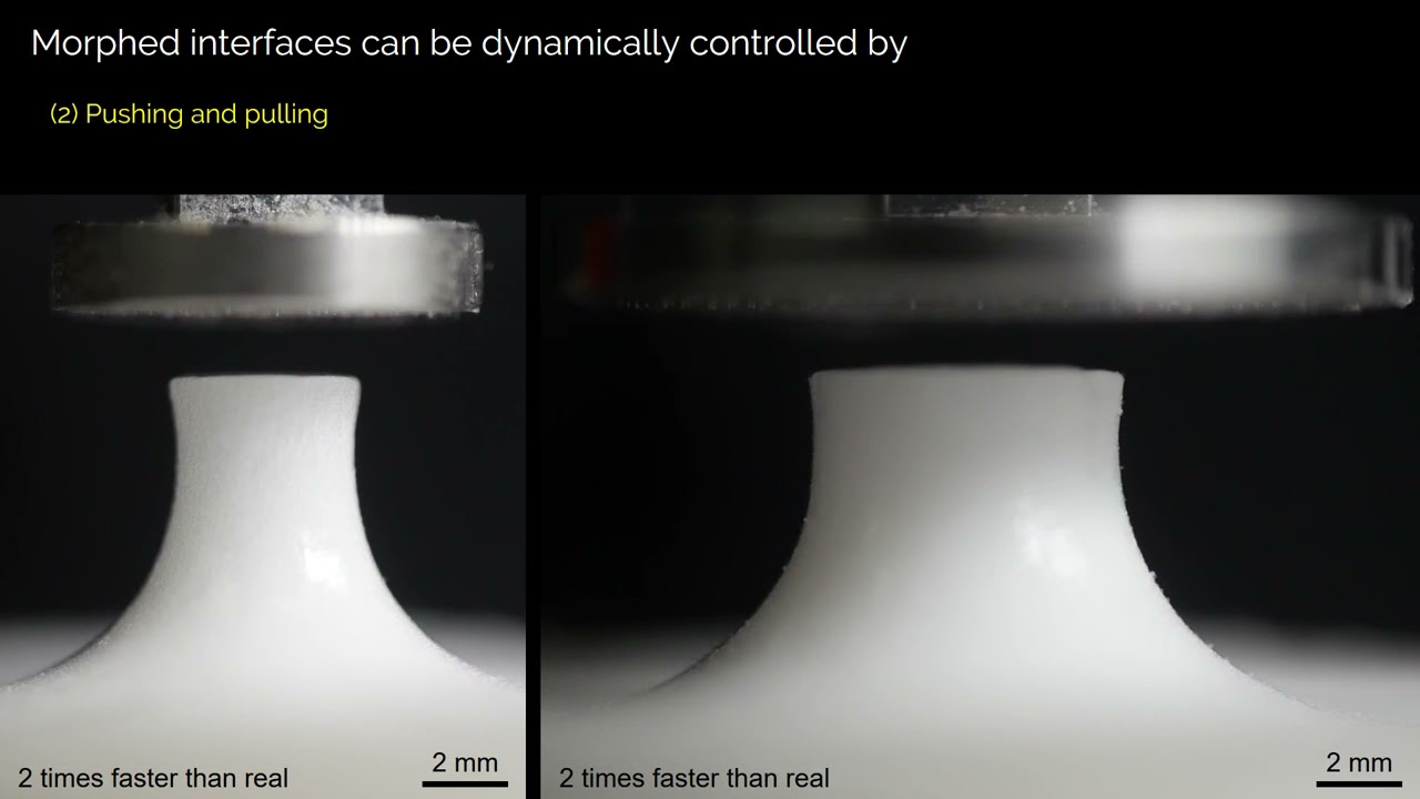 Dynamic shape-morphing of particle rafts