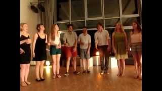 Das zweite Gesicht - Peter Fox acapella cover