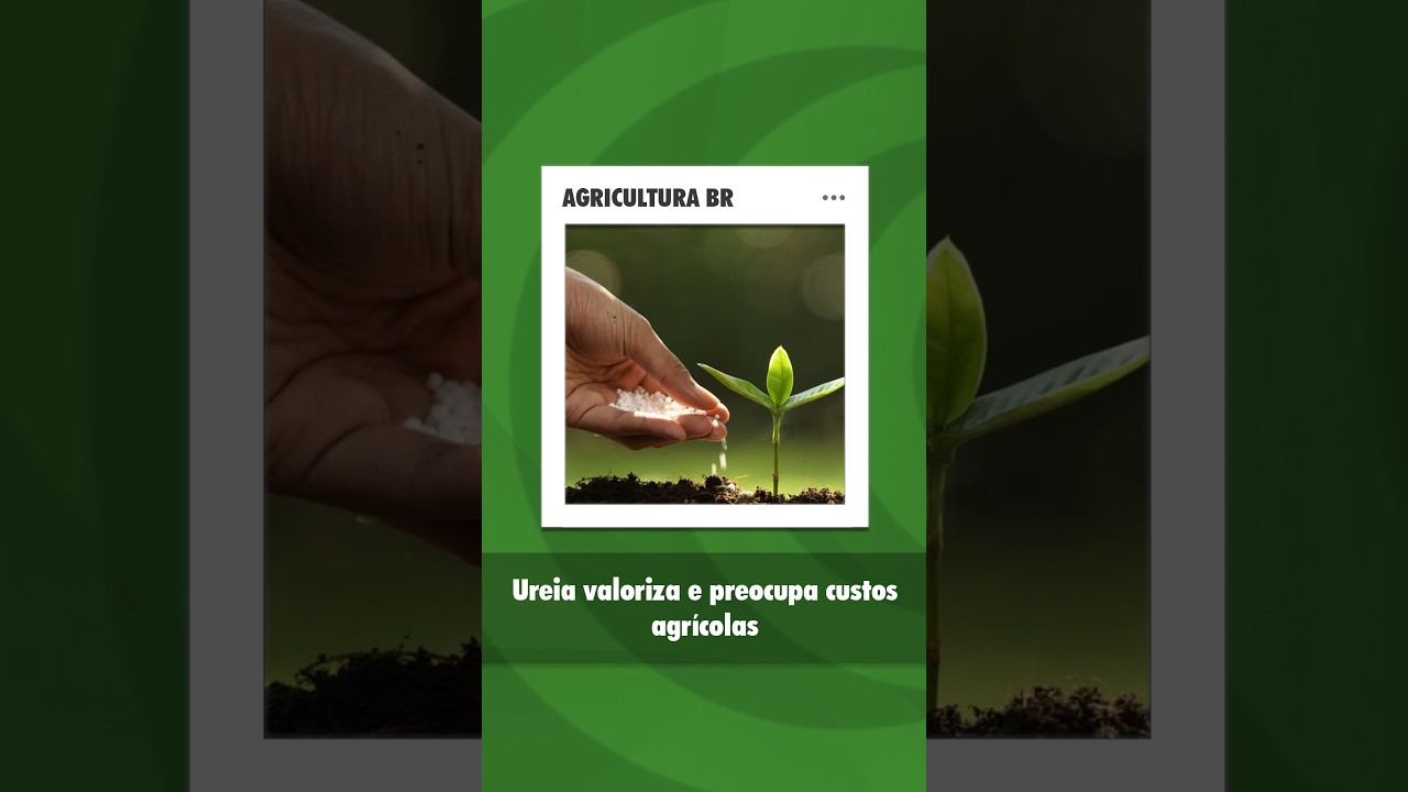 Preços e disponibilidade dos fertilizantes entram no radar para a próxima safra