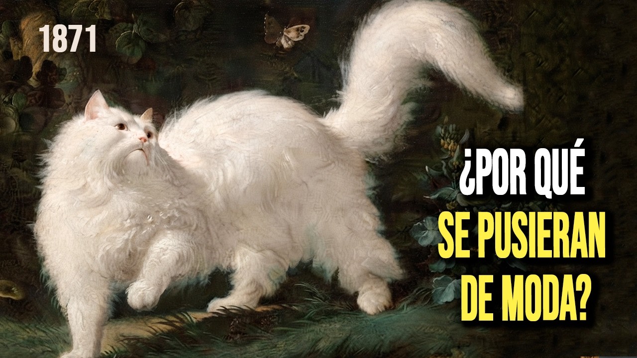 ¿Qué pasó en 1871 para que los gatos se pusieran de moda?