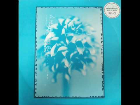 Placid Angles - Scarlett Season