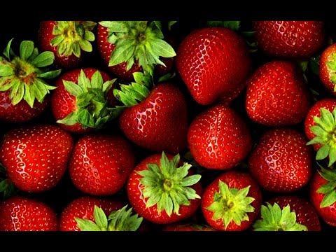 download lagu mp3 mp4 Strawberry Plant Pot Size, download lagu Strawberry Plant Pot Size gratis, unduh video klip Strawberry Plant Pot Size