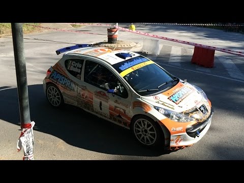 Rally di Camaiore 2014 [HD]