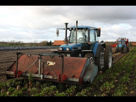 Landb. Dewitte - Wingene - Ford 8340 - New Holland TS 110 - TIM LB 5 TE Franquet - La Forge