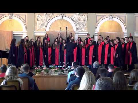 "M. Marulić" High School Mixed Choir - Svitla noć (D. Fio / P. Ljubić, arr. T. Veršić)