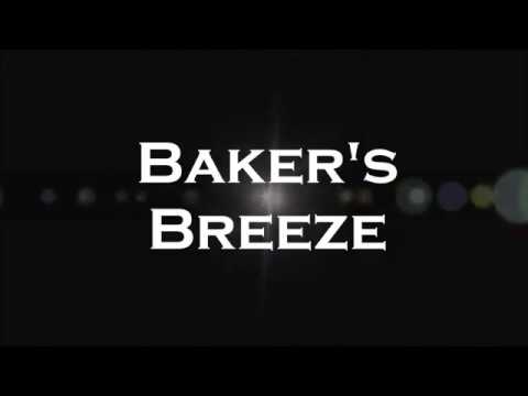 Bakers Breeze - Southern Rock Tribute Band