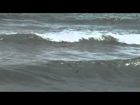 PAURA IN MARE, VIVO PER MIRACOLO