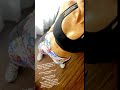 Ileana Shares A Hot Video Of Herself