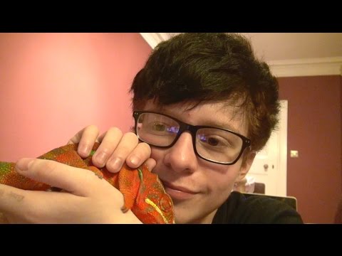 Video thumbnail for Rosa Dear - Ruth