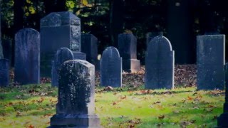 SICKLE Official Trailer