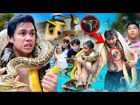 Last to Survive sa SNAKE POOL - WINS P50,000