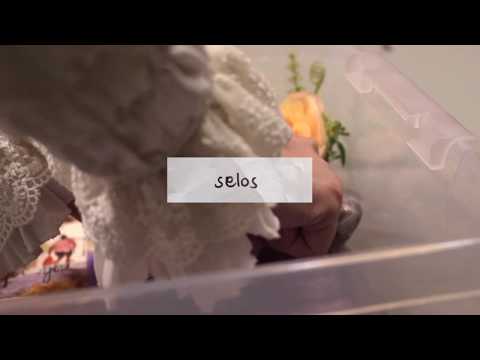 Selos (Official Lyric Video) | the vowels they orbit