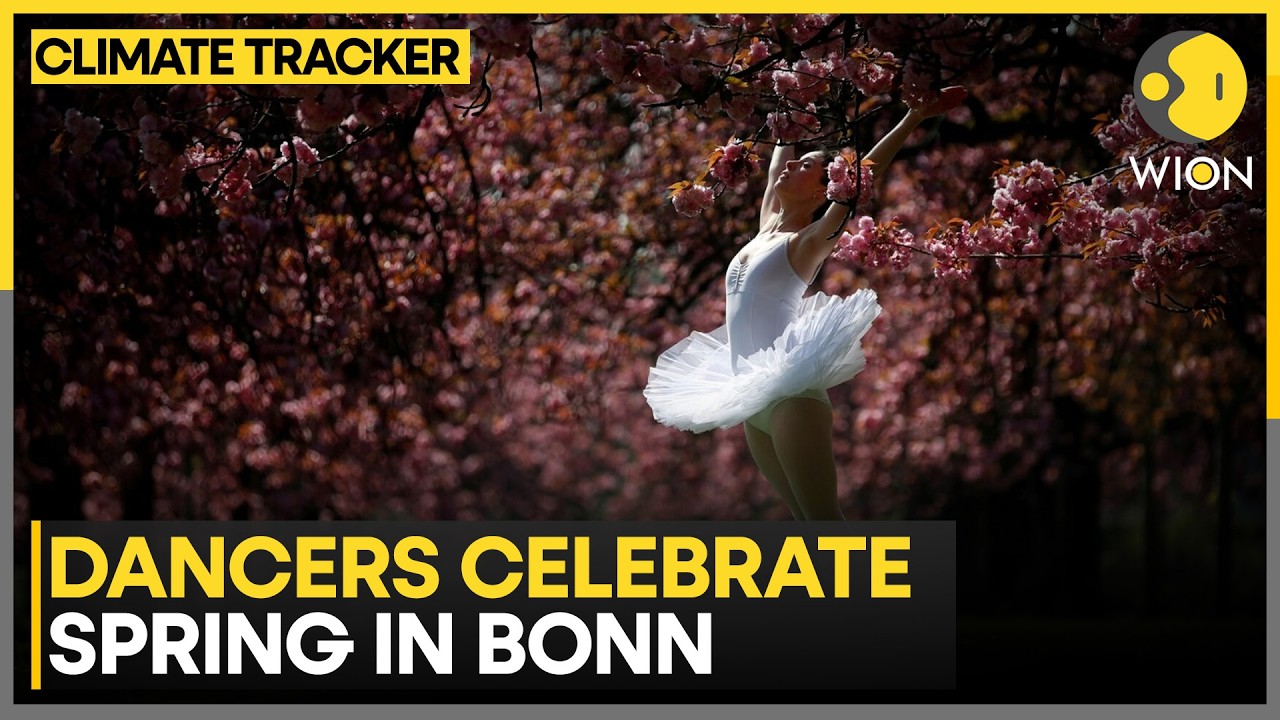 Salsa Takes Over Bonn’s Cherry Blossom Streets | WION Climate Tracker