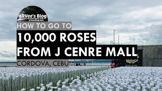 How to go to 10,000 ROSES from J Centre Mall | aRVees Blog