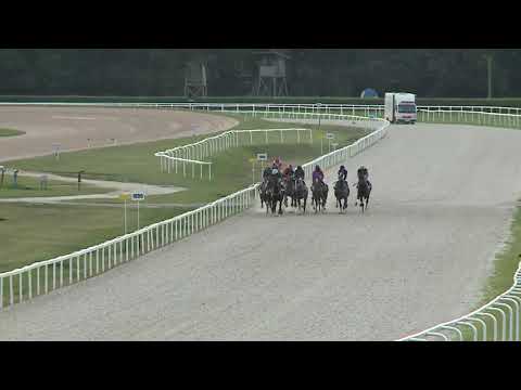 2020.09.06. 09. futam - YORKSHIRE HENDIKEP (III.o.)(szintetikus pálya)
