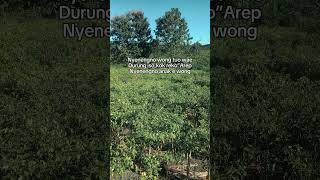 Download lagu nyeneng ne wong tuwo disek ae || story wa 15 detik || #shorts mp3