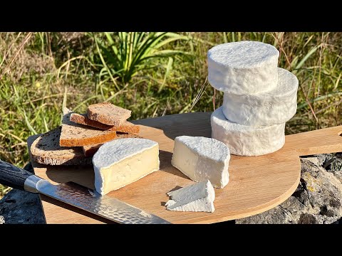 CAMEMBERT Cheese - How to make Cheese at home