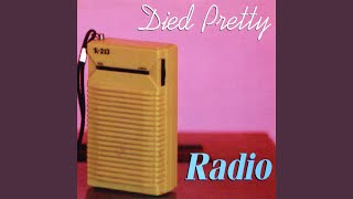 Music video thumbnail preview for Radio by Died Pretty
