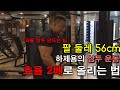 하제용 팔 운동 강의(이것만 따라하면 무조건 두꺼워집니다)