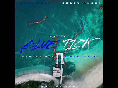 Musa Keys, Chley Nkosi, Nkulee'501 & Skroef'28, Konke & Leandra Vert - Blue Tick (Revisit)