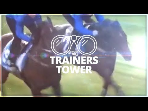 Tentyris, Pride of Jenni, Tom Kitten: The inside mail for Super Saturday