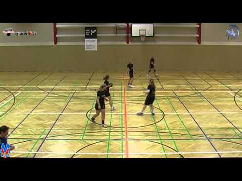 29:21 SV Crivitz vs. SV Eintracht Rostock 23. Febr. 2012