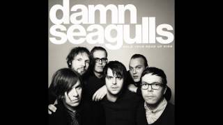 Damn Seagulls - Hold Your Head Up High