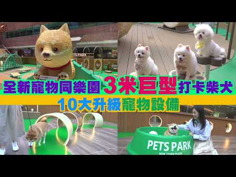 沙田新城市廣場【Pets Park 寵物同樂園】全新面貌
