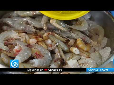Video: Tips para consumir de manera segura, pescados y mariscos en esta cuaresma