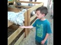 Cedar Point Farm